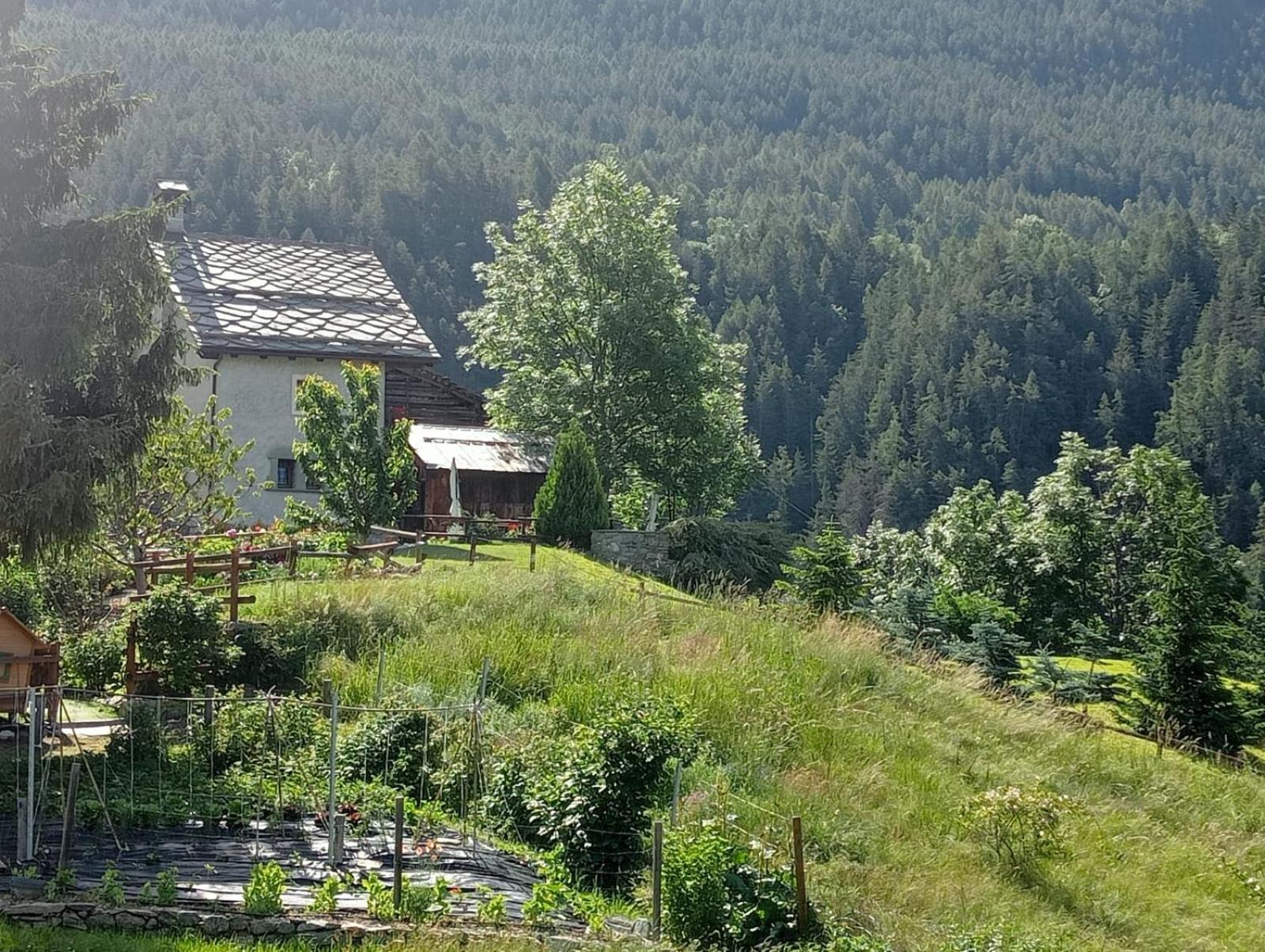 Home Sweet Home Antey-Saint-André Kültér fotó